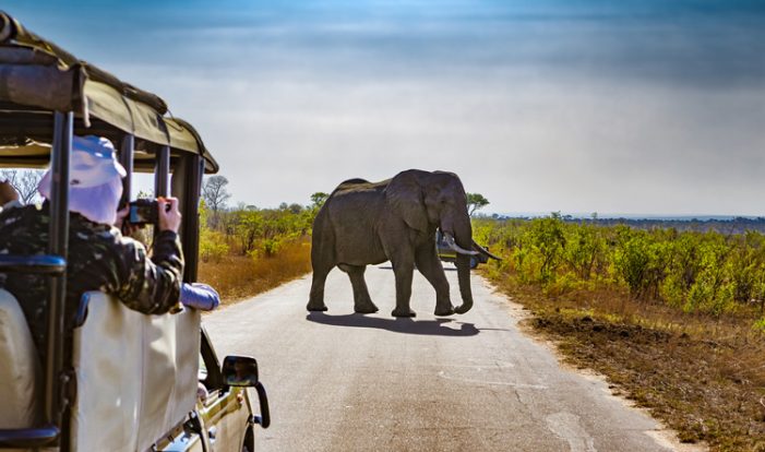 5 Reasons to Visit South Africa