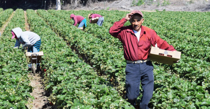 The answer to organized labor’s woes? Immigrants.