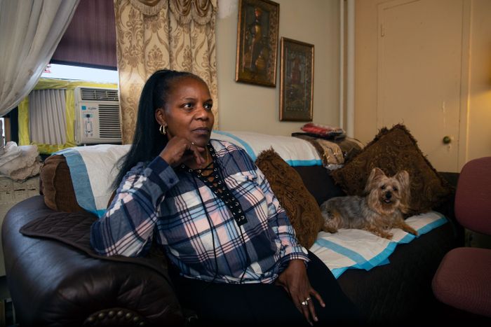 NYCHA Monitor, Mold Protections Vanish for Tenants Under Private Management