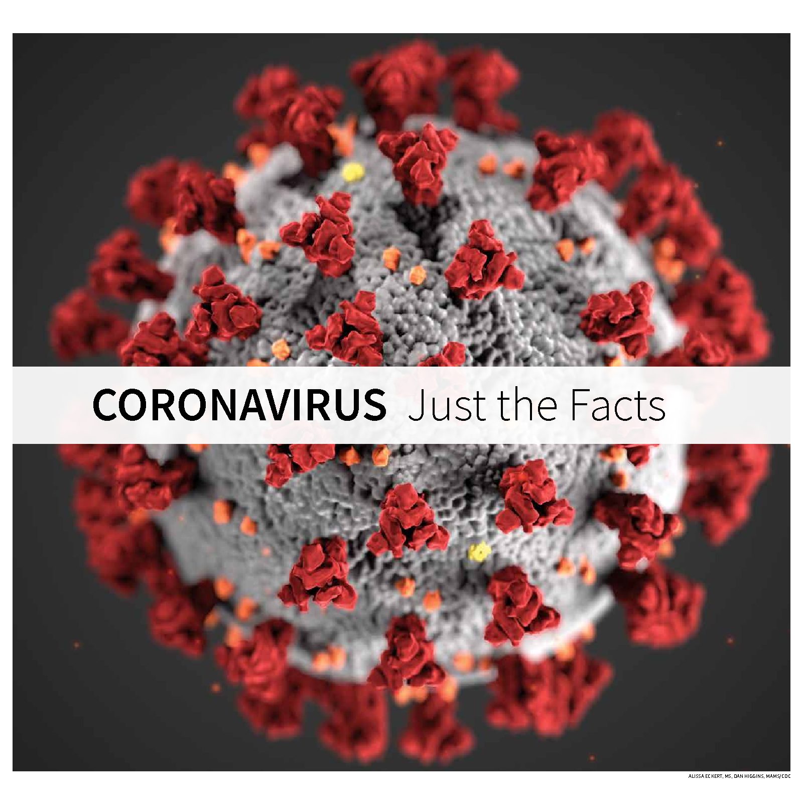 Coronavirus-What-You-Need-To-Know