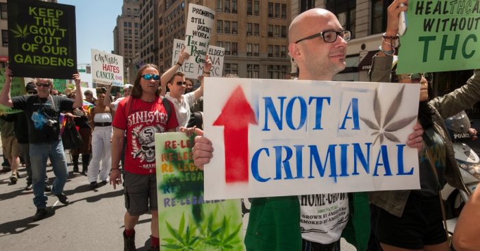 How New York’s New Marijuana Law Plants Seeds of Fairness