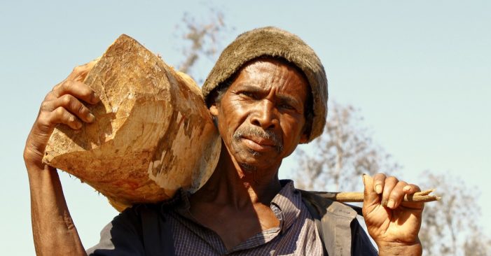 Madagascar on the Brink of Climate Change-Induced Famine