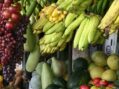 The Fight Against Food Insecurity in the Caribbean