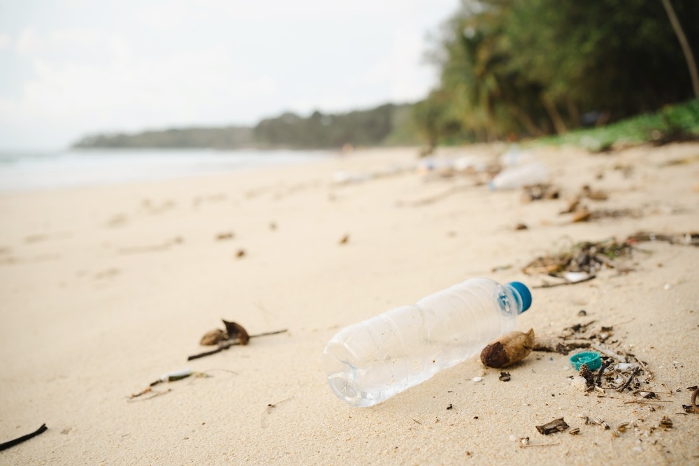 Trash bottles dumped on the sandy beach-img