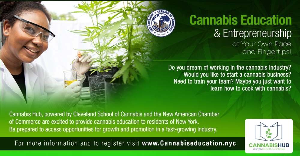 cannabis education img 1000