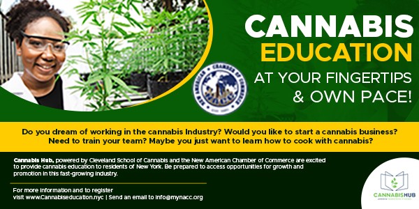 cannabis education img 600×300