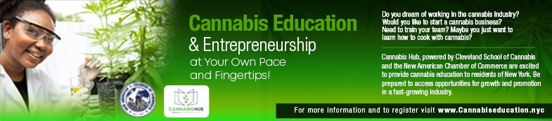 cannabis education img 785×173