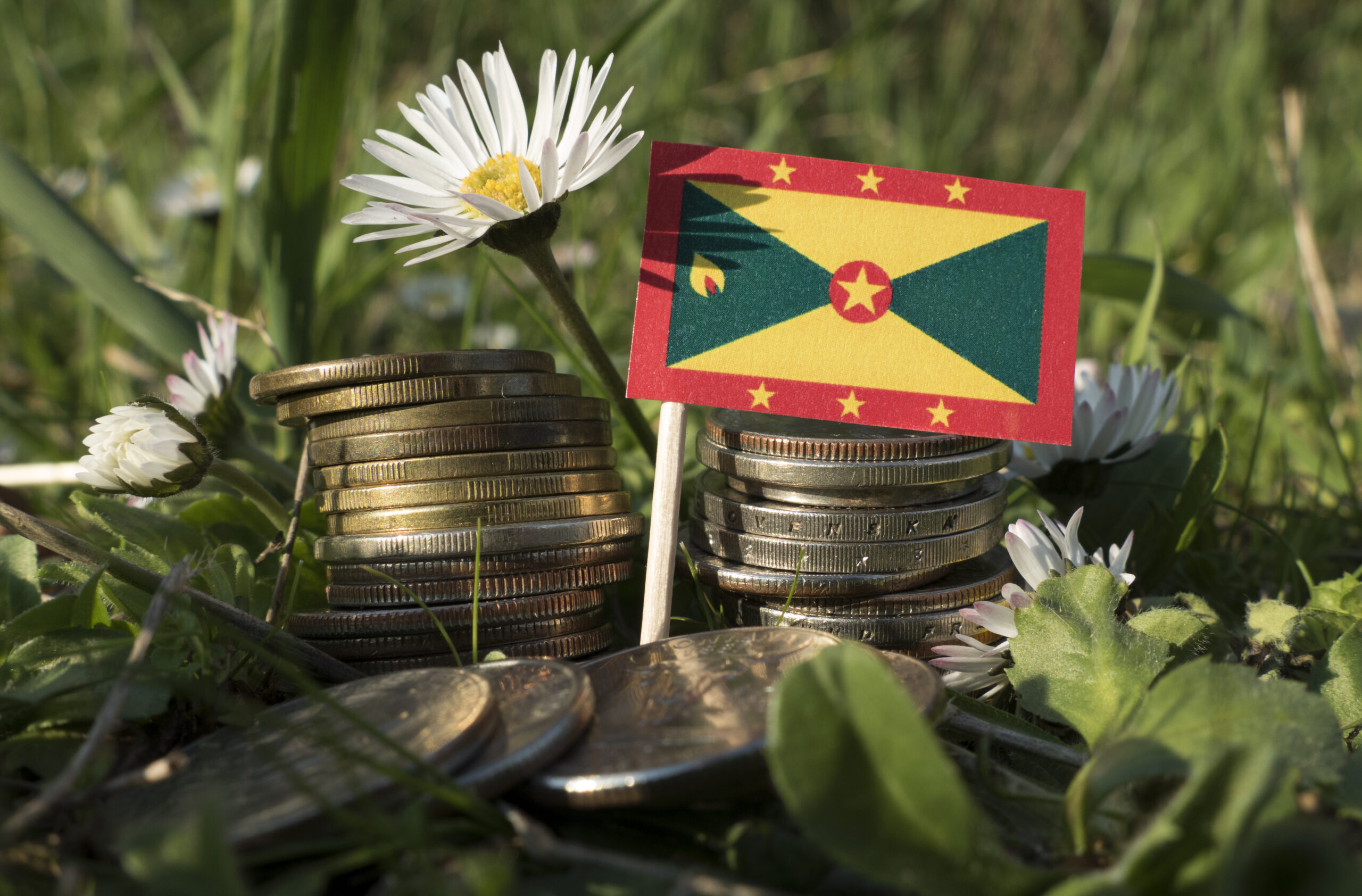 Grenada,Flag,With,Stack,Of,Money,Coins,With,Grass,And