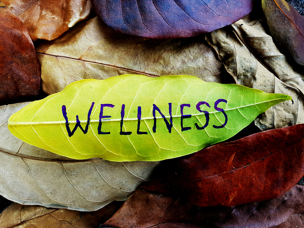 Wellness,Concept,Written,On,Leaf