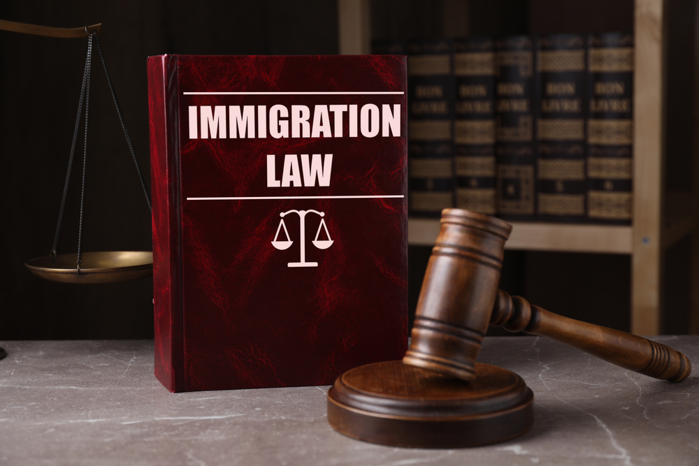 Immigration,Law,Book,And,Gavel,On,Grey,Marble,Table