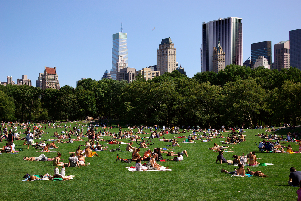 New,York,City,Skyline,From,The,Sheep,Meadow,In,Central