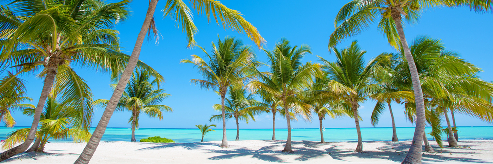 Panorama,Of,Idyllic,Tropical,Beach,With,Palm,Trees,,White,Sand