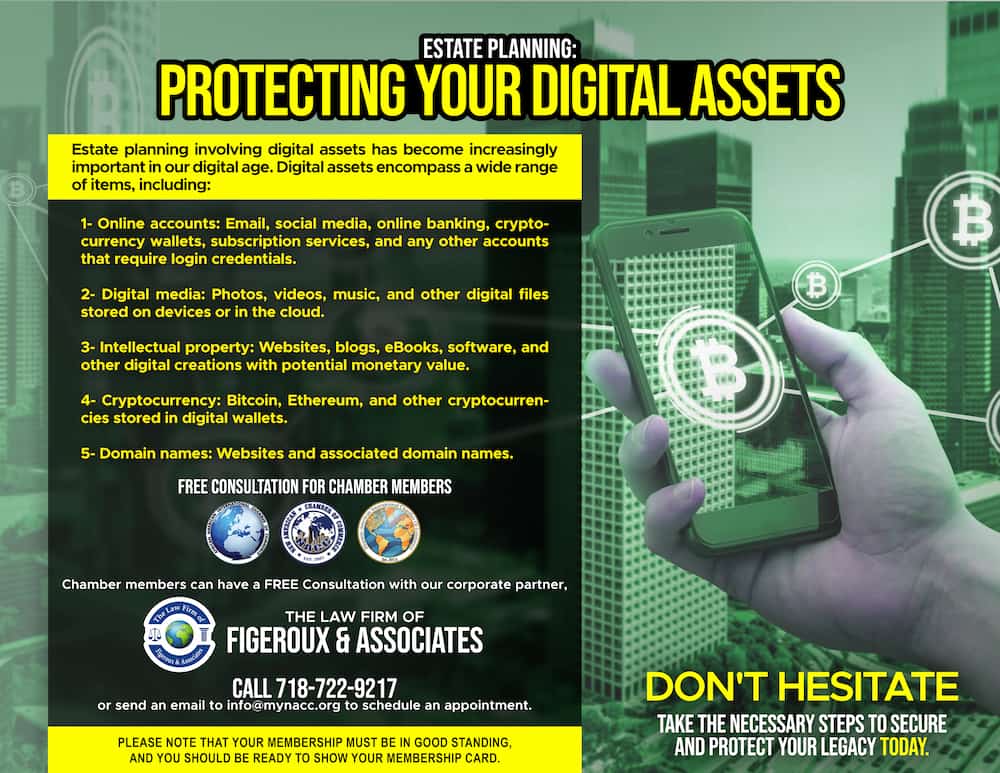 digital assets v2 (1)