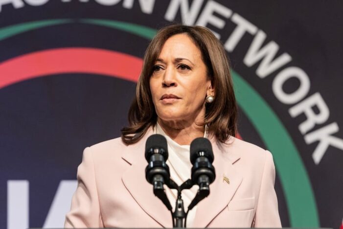 Attacks on VP Harris Reinforce Right Wing Preference for Border Chaos Over Real Solutions